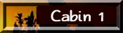 Cabin 1